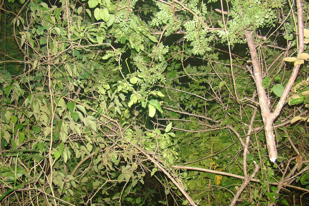 Barranquilla Colombia